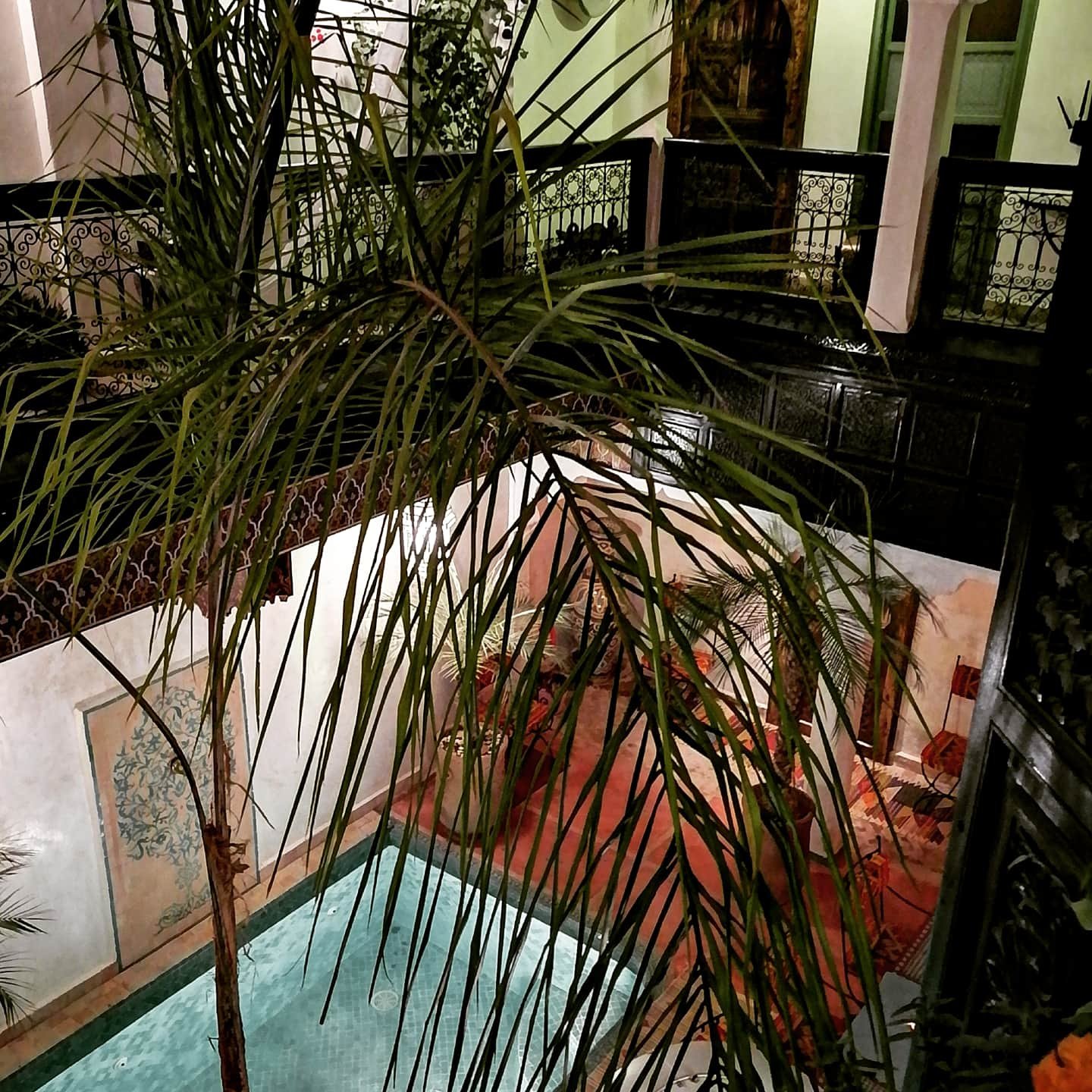 Riad Dalla Santa-官方