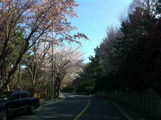 Igidae Park-釜山必去景点