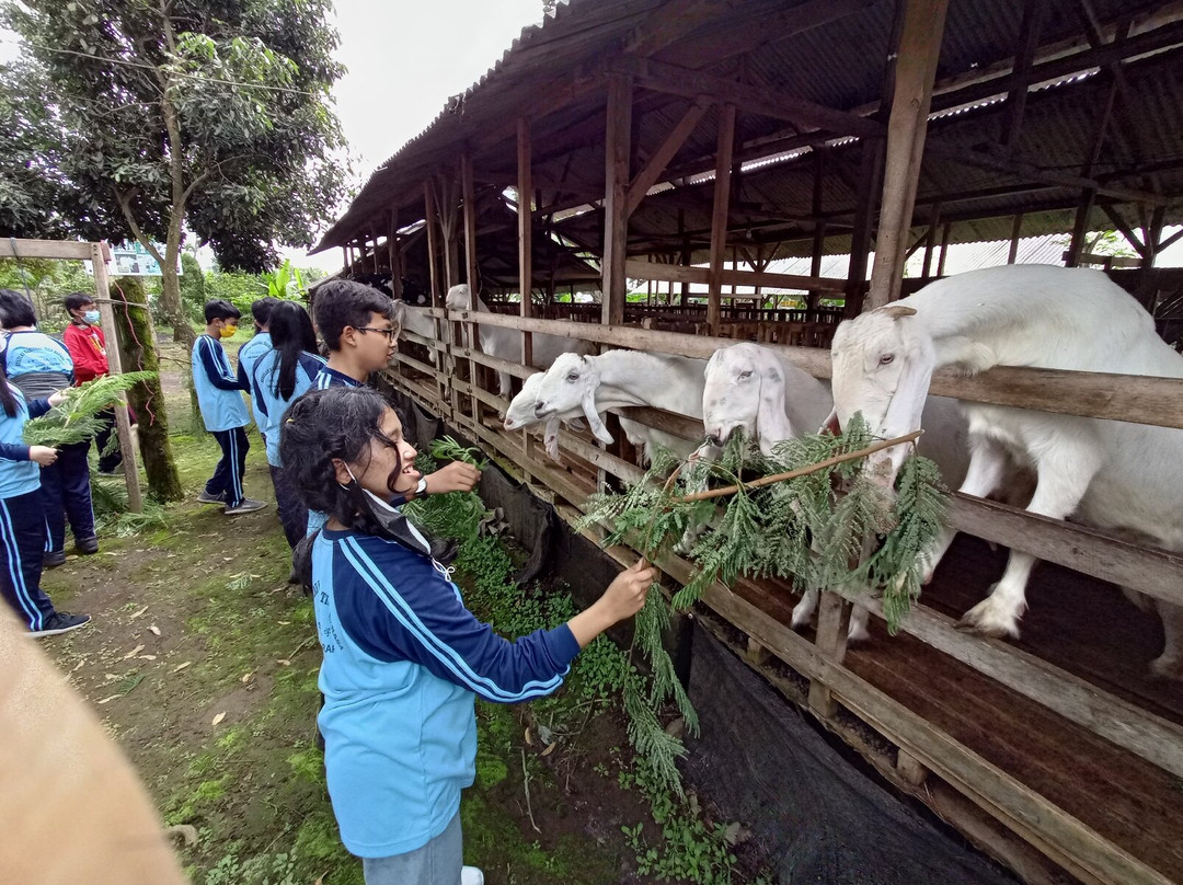 Goatzilla Farm景点图片