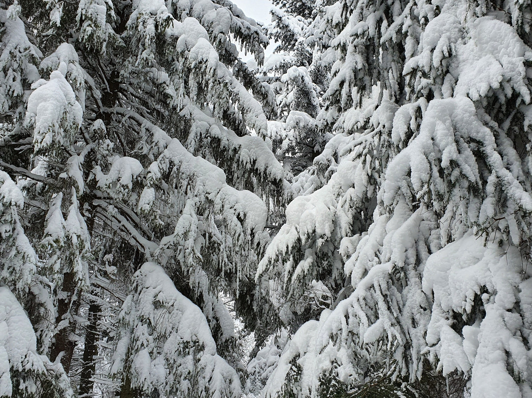 Beskidzki Raj Hotel主图