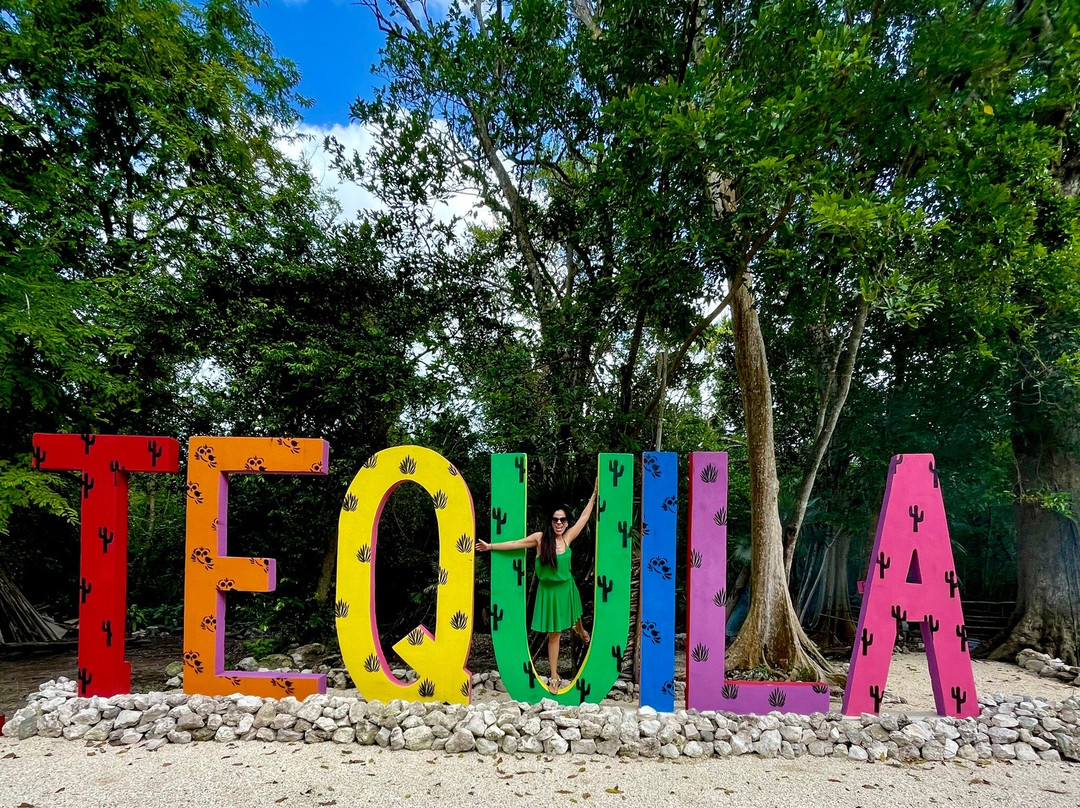 Tequila Factory Cancun and Villas-从莫雷洛斯港必去景点