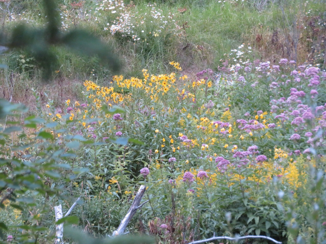 Roughlock Falls State Nature Area-Lead必去景点