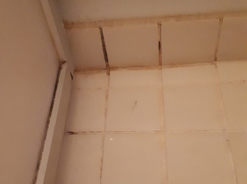 Break Sokos Hotel Bomba主图