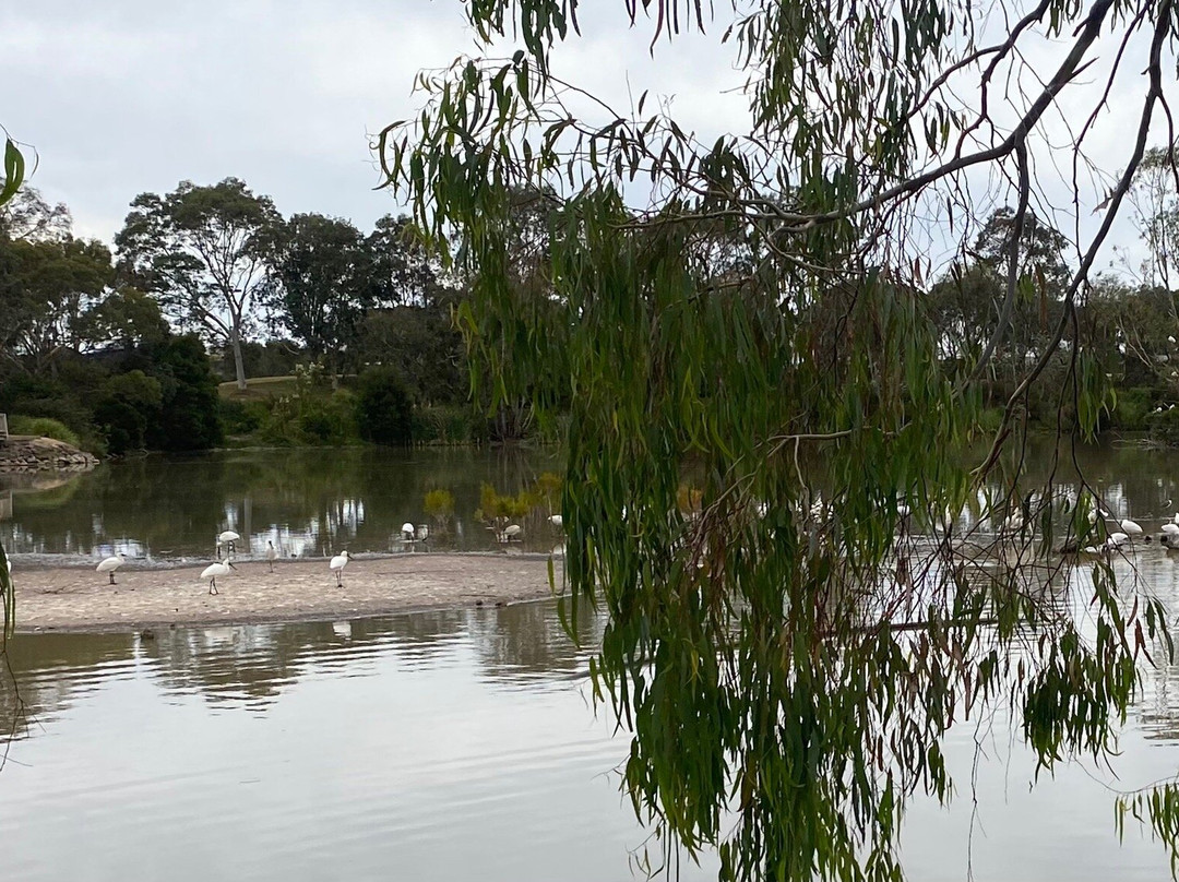 Lake Guyatt景点图片