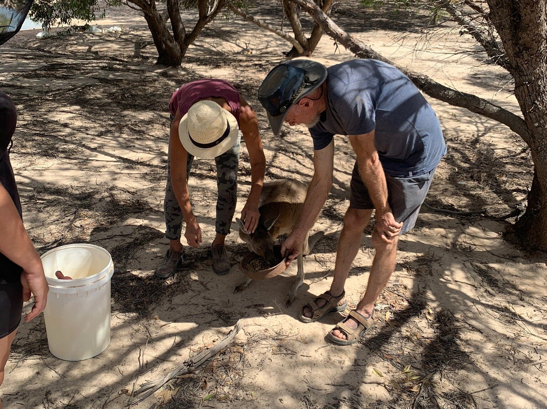Elbenjo animal sanctuary-Northampton必去景点