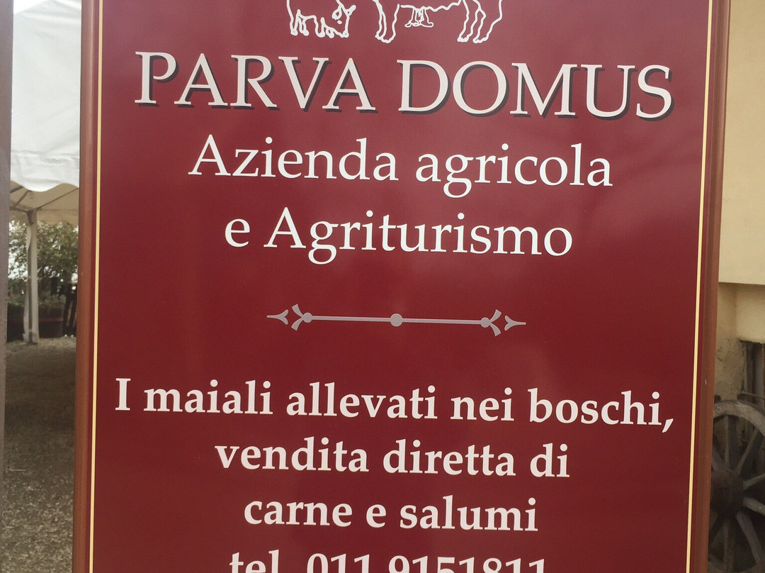 Parva Domus主图