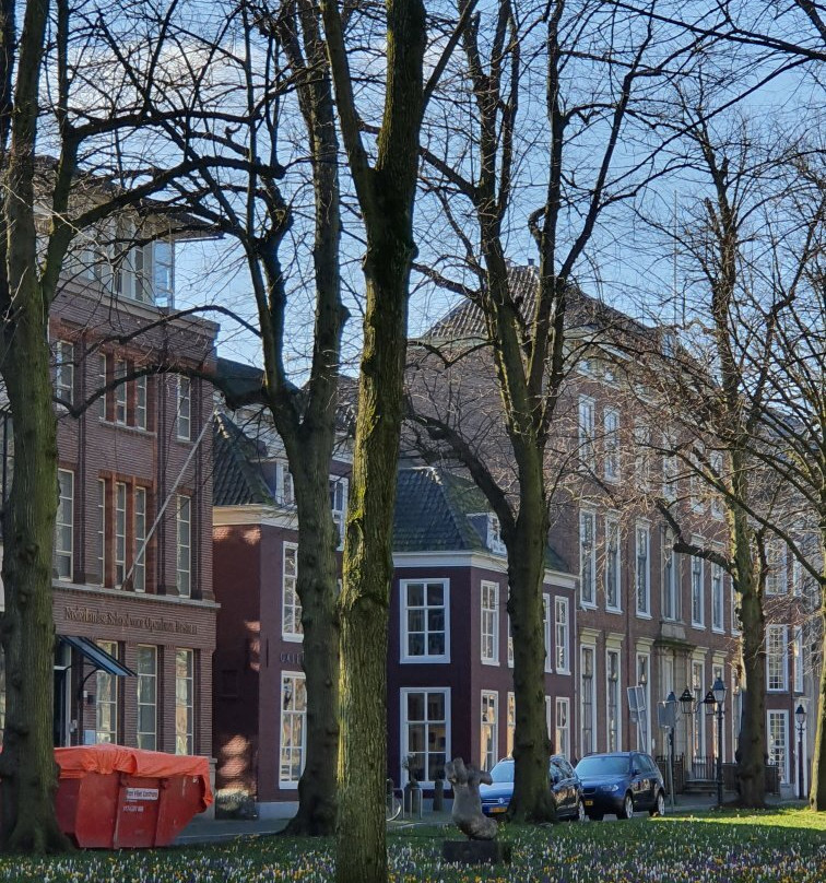 Lange Voorhout-海牙必去景点
