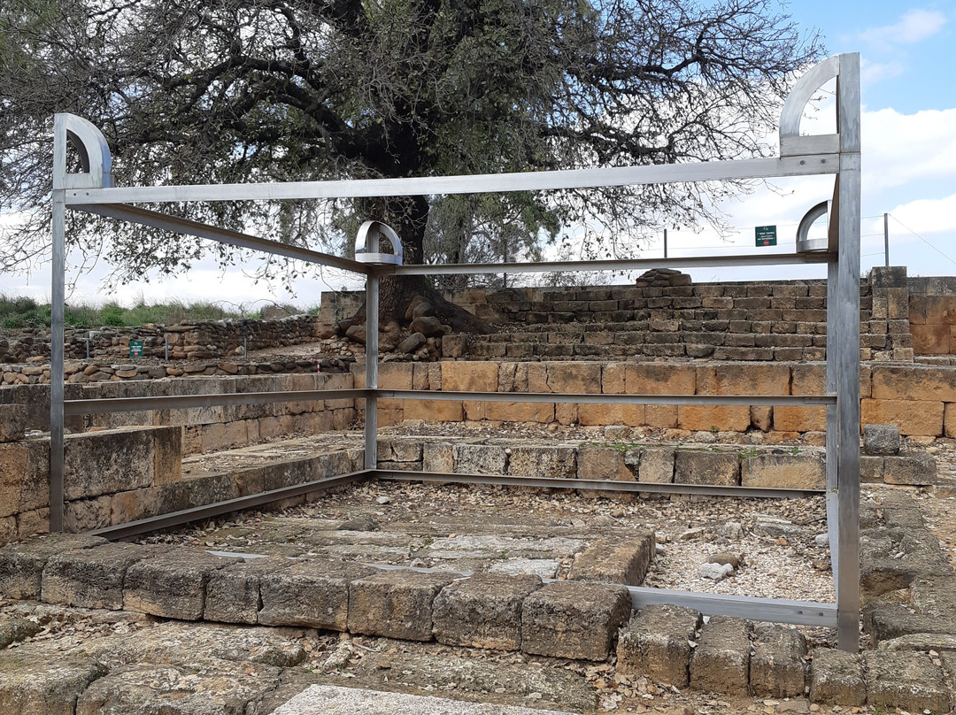 Tel Dan-加利利必去景点