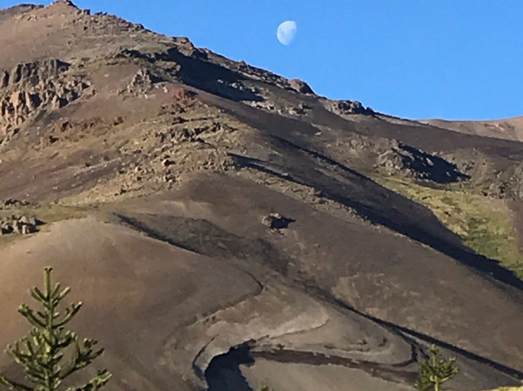 Reserva Nacional Malalcahuello - Nalcas景点图片
