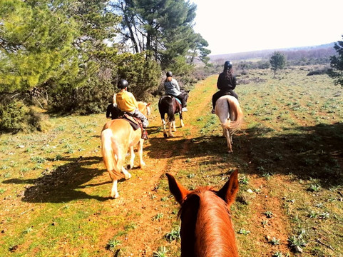 Saddle Club Zadar Horseback Riding Centre-扎达尔必去景点