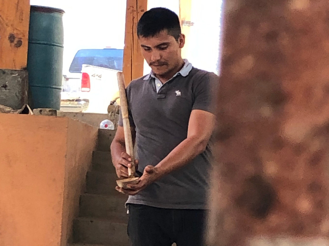 Oaxaca Conmigo Tours-瓦哈卡必去景点