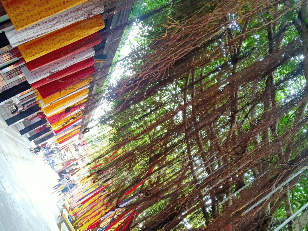 Phat Hoc 2 Pagoda-朔庄必去景点