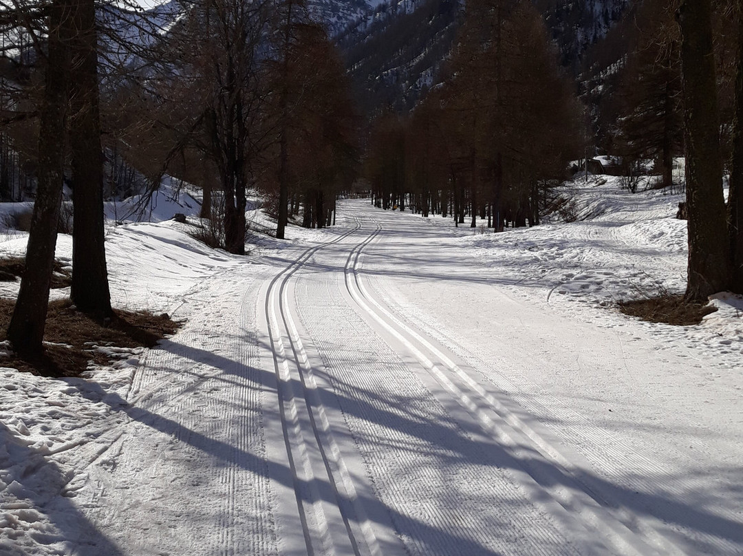 Pragelato Ski Area景点图片