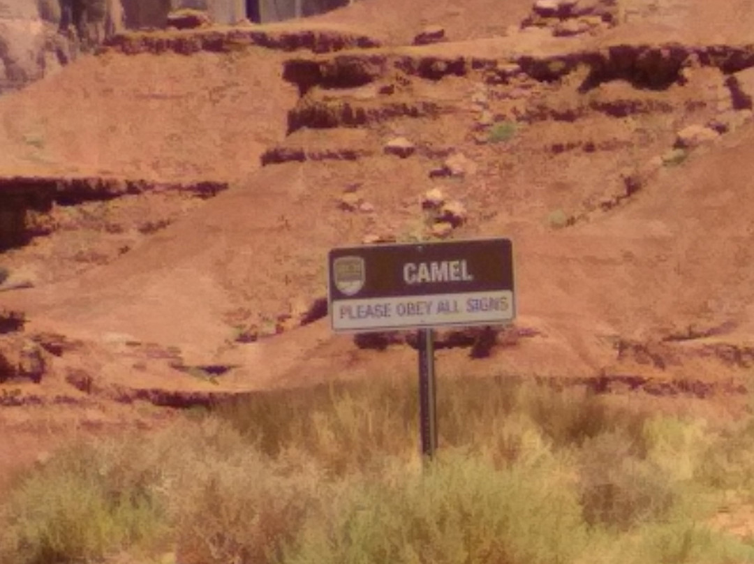 Camel Butte景点图片