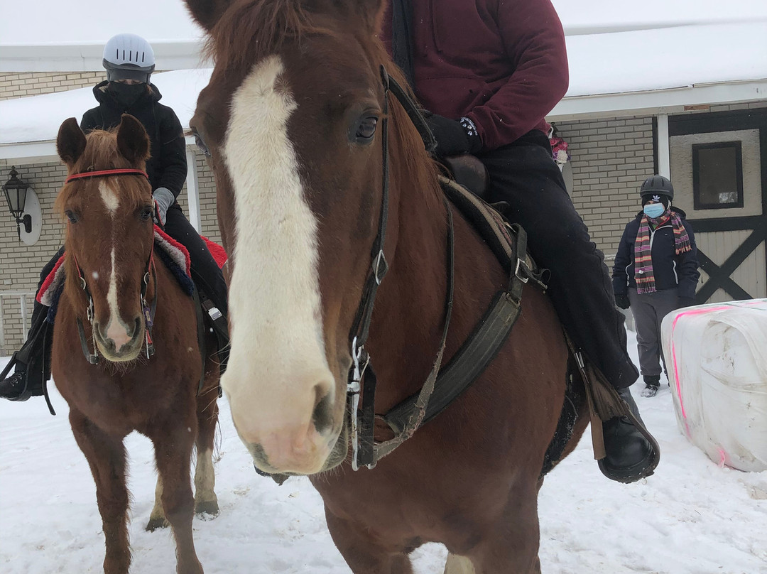 Forest View Farms-廷利公园必去景点