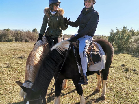 Saddle Club Zadar Horseback Riding Centre-扎达尔必去景点