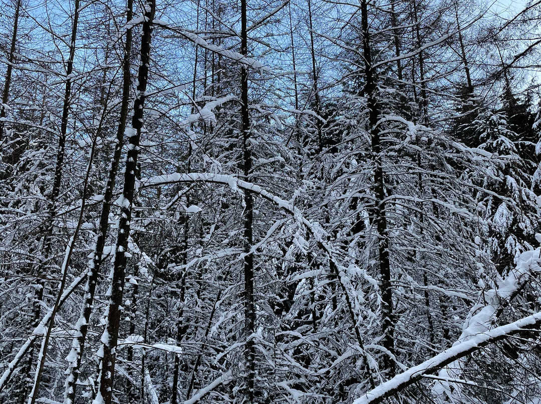 Speulder - en Sprielderbos-Ermelo必去景点