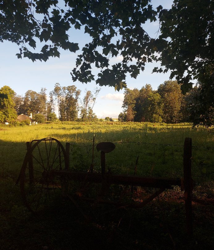 Penny Lane Guest House主图