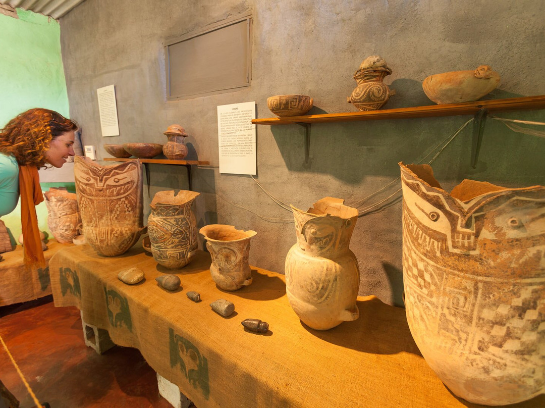 Museo de Antropologia de Salta景点图片