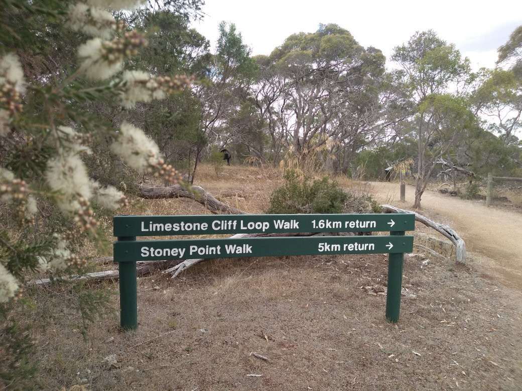 Limestone Cliffs Walk-Naracoorte必去景点