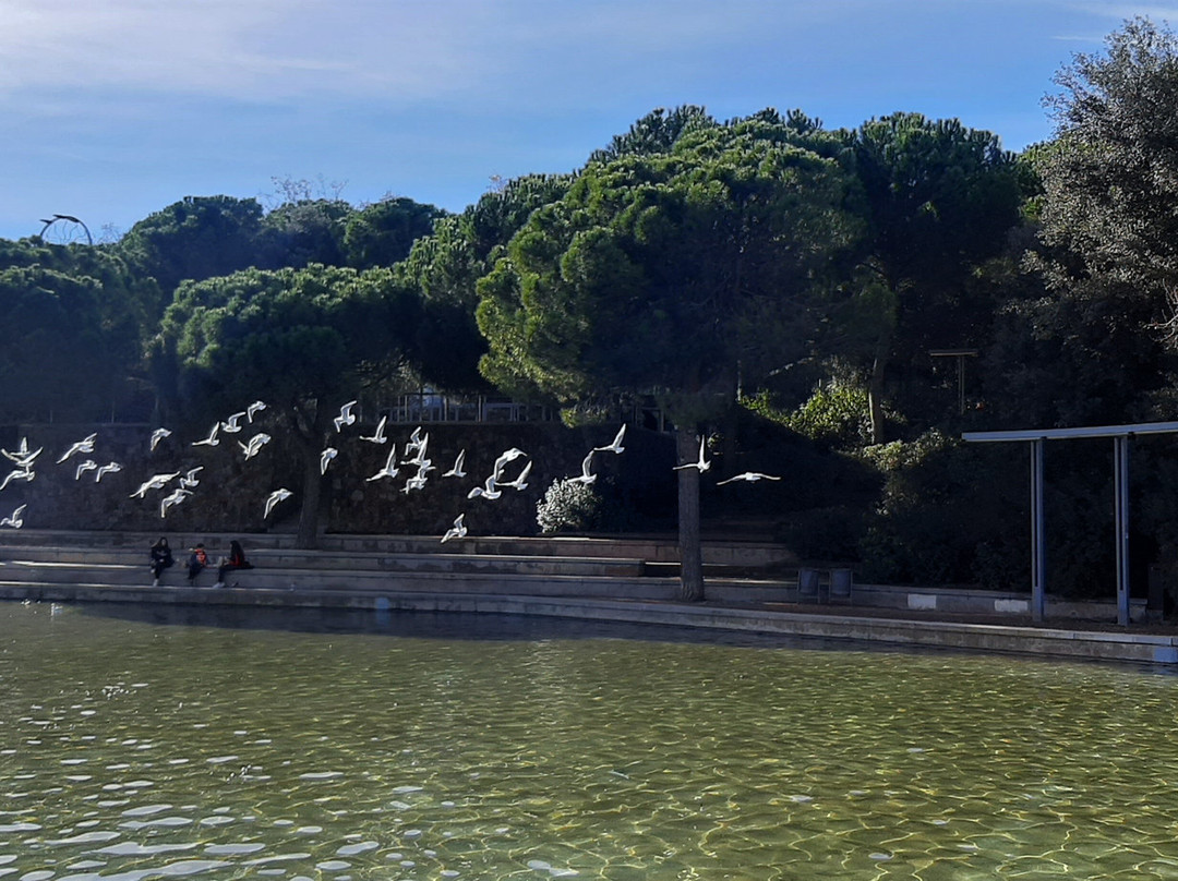 Parc Catalunya-萨瓦德尔必去景点