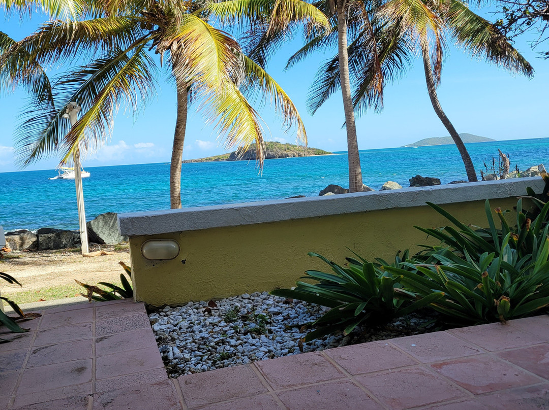 Tamarind Reef Resort主图