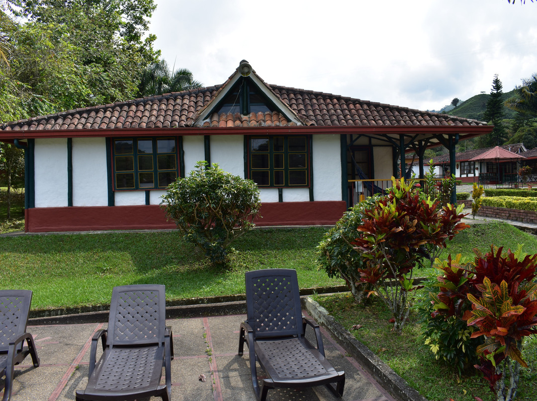 Amigos Del Campo主图