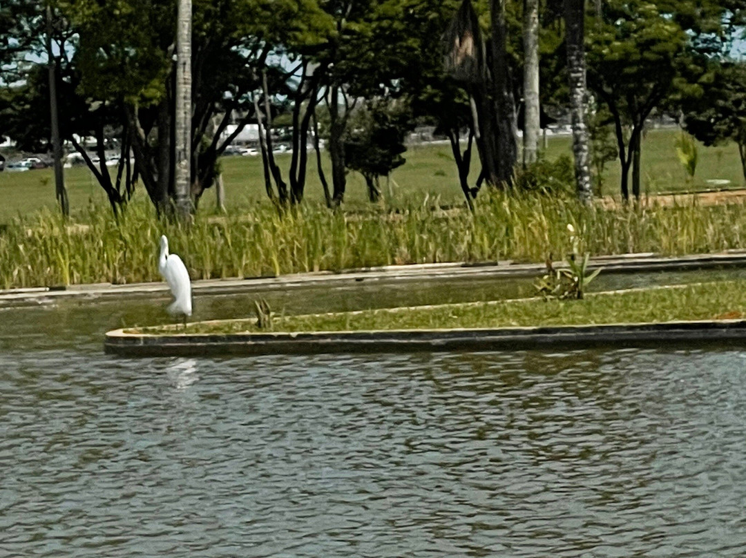 Praca dos Cristais-巴西利亚必去景点