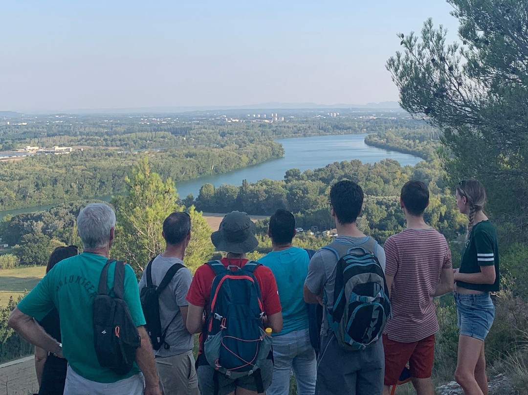 Hike Provence-阿维尼翁必去景点