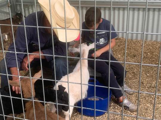 Tamworth Kootingal Horse Riding Adventures-塔姆沃思必去景点