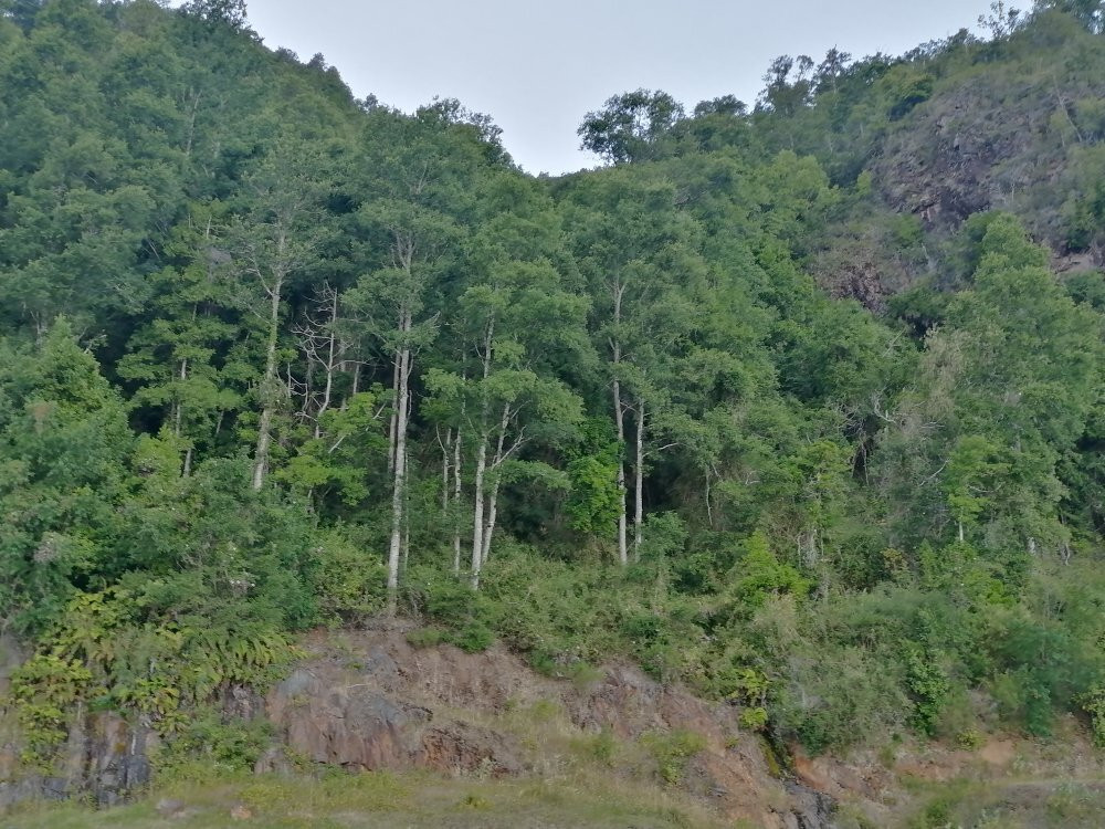 Hotel Rucapillan主图