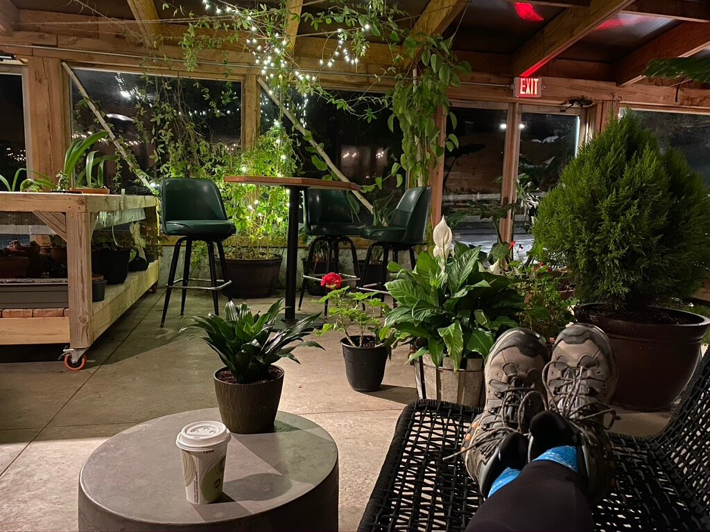 The Arnold House主图