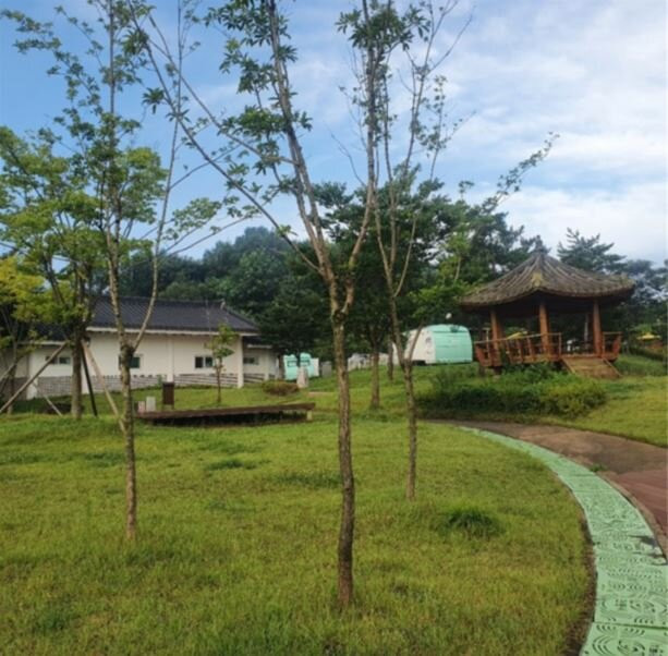 Danho Sand Park Camping Site