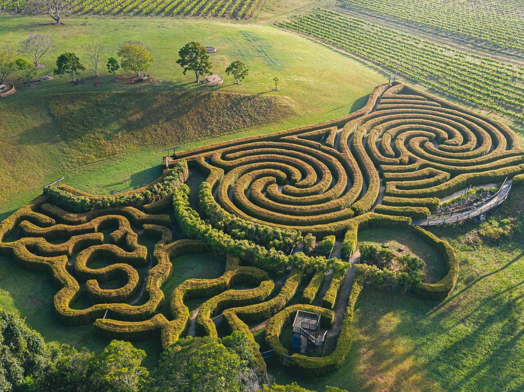 Wauchope旅游景点-Bago Maze & Wine