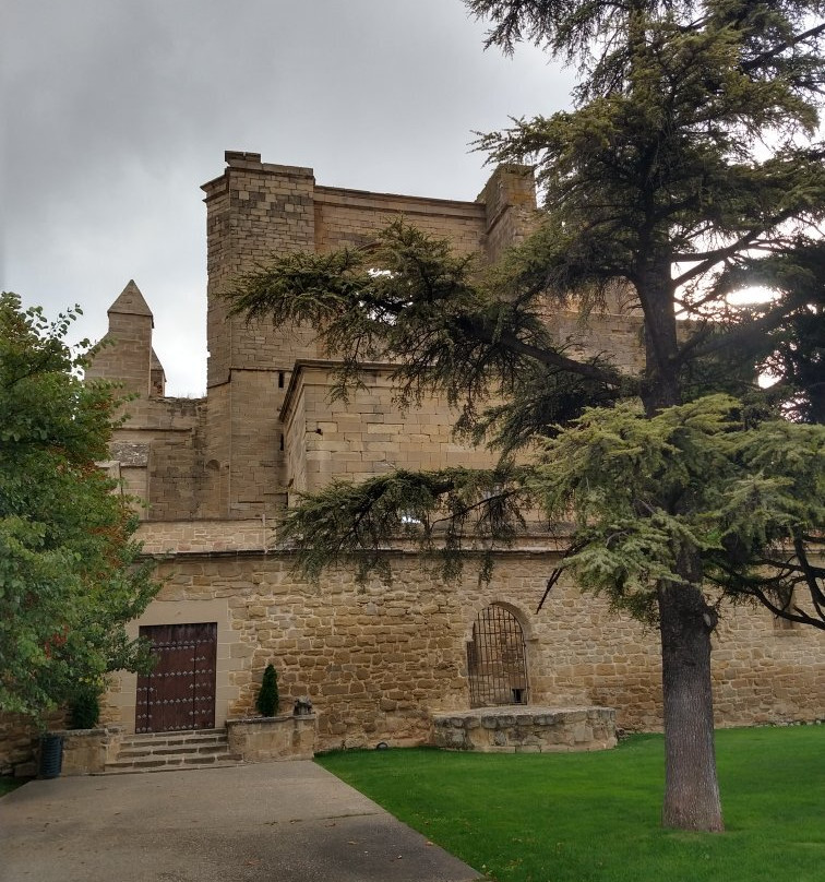 Ruinas de San Pedro-Viana必去景点