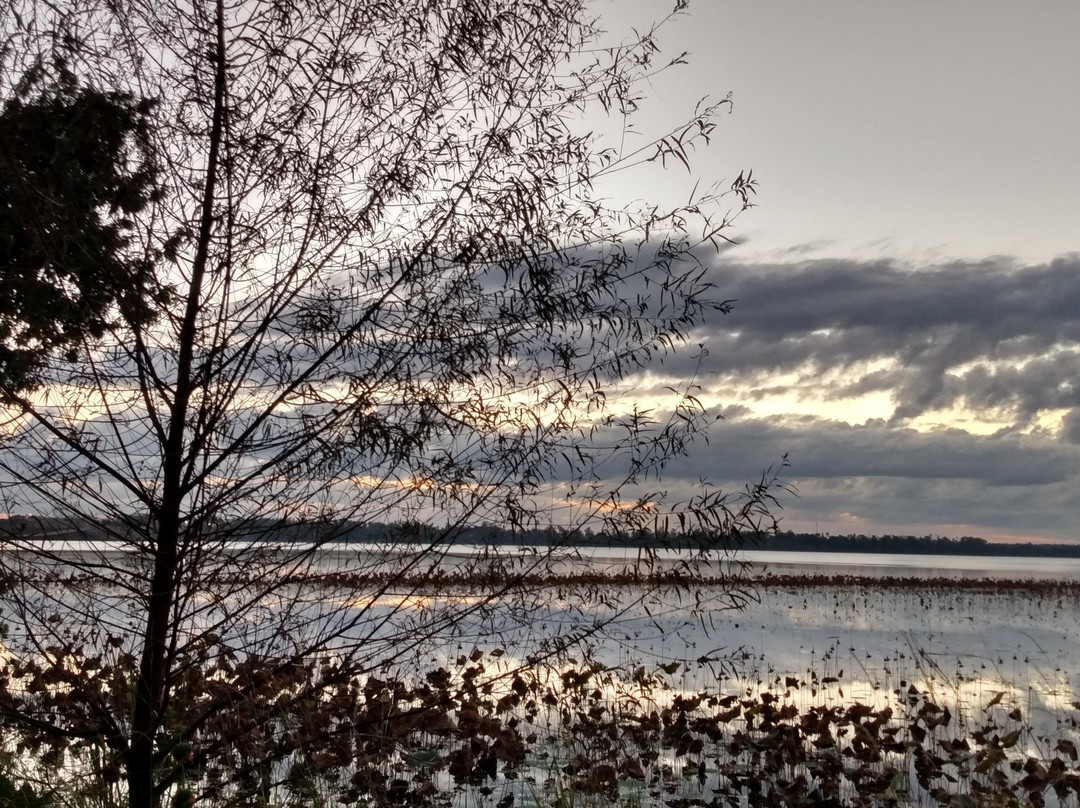 Jim Woodruff Dam-Sneads必去景点