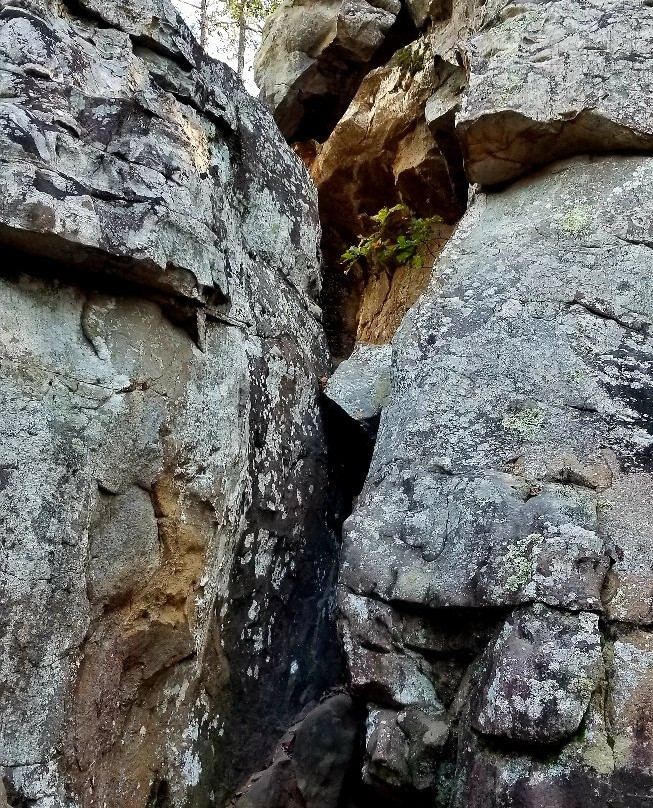 Moss Rock Preserve & Waterfalls景点图片