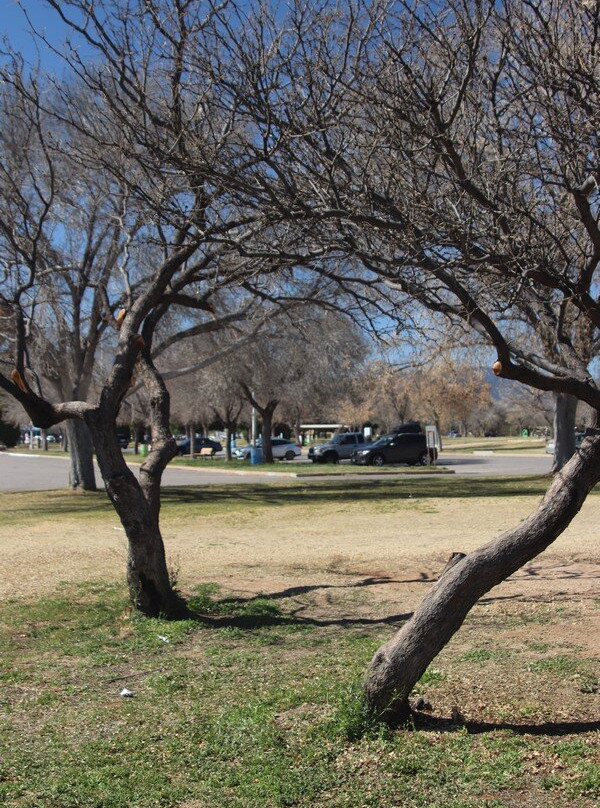 Veterans Memorial Park景点图片