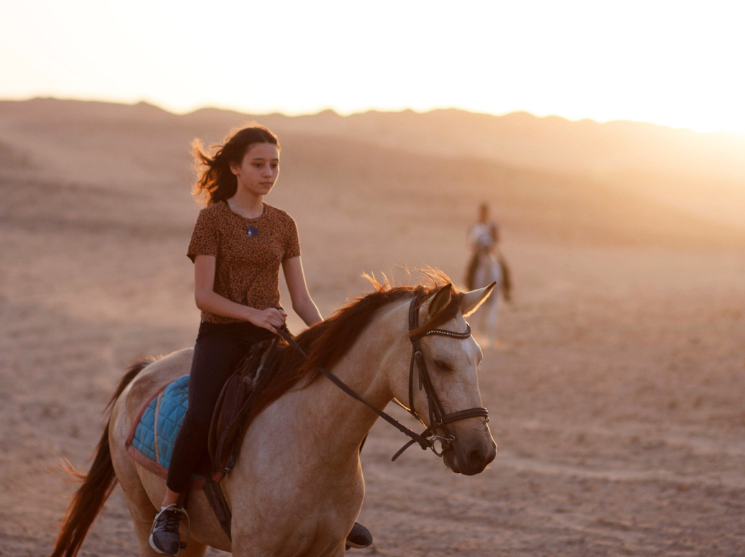 Egypt Horse Riding & Photography景点图片
