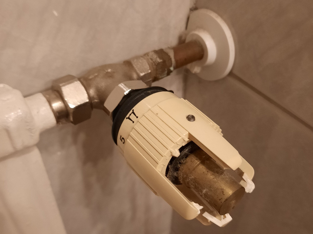 Hotel Moselebauer主图