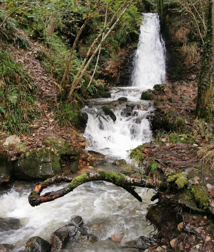 Ruta a la Cascada del Nonaya景点图片