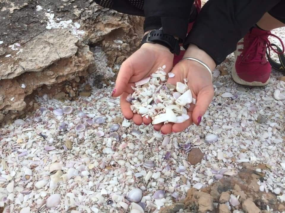 Shelly Beach-Cape Bridgewater必去景点
