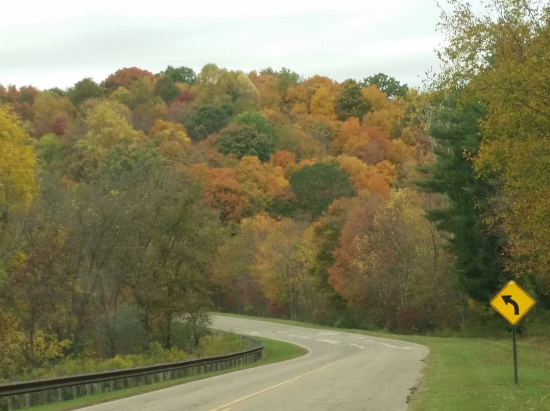 Salt Fork State Park景点图片