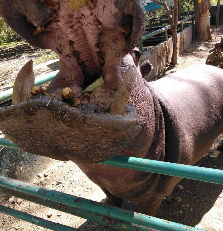 Zoologico de Chihuahua-Aldama必去景点