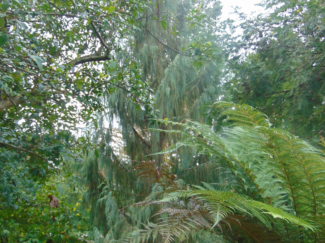 Orto Botanico di Lucca景点图片