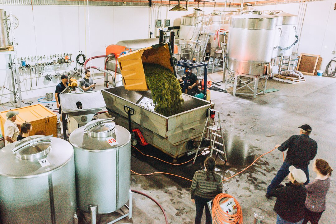 Olive Farm Wines景点图片