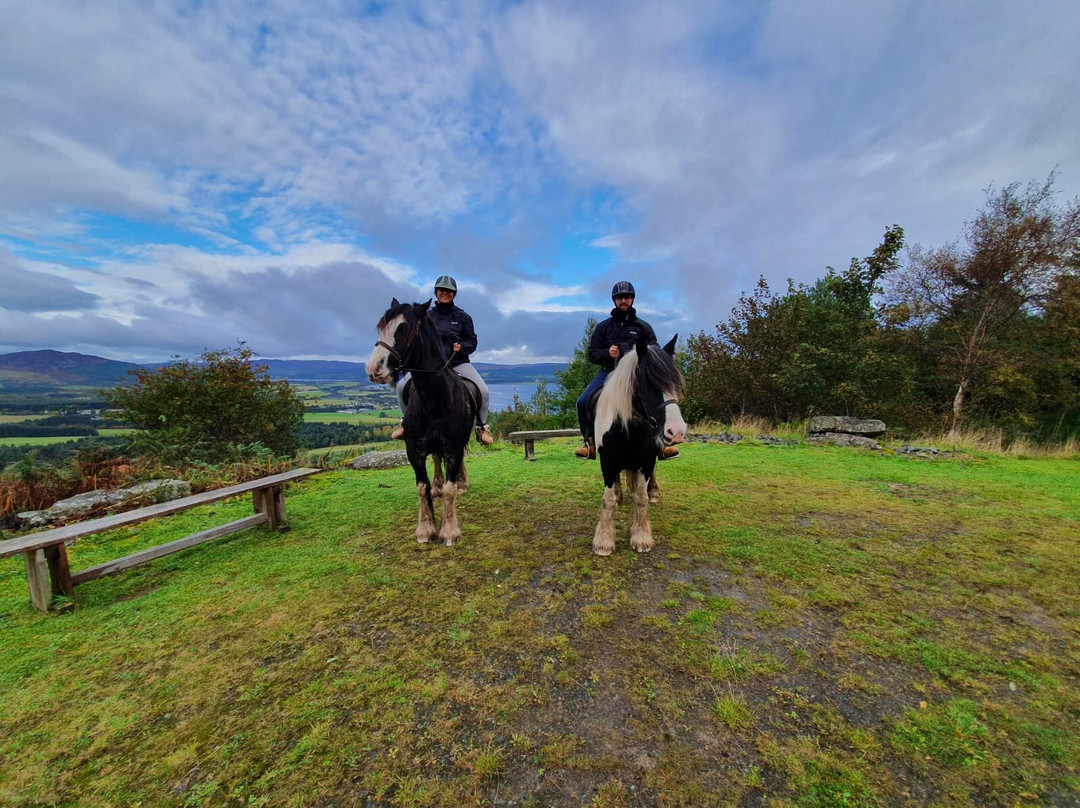 Hollingwells Equestrian景点图片