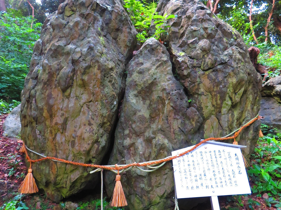 Tashima Shrine-唐津市必去景点