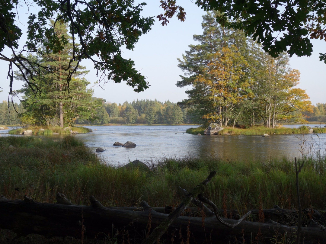 Färnebofjärden Nationalpark景点图片