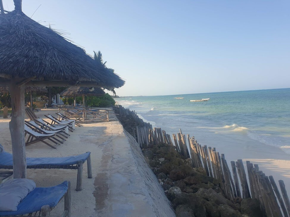 蓝牡蛎酒店主图